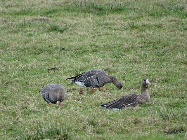 动不仅为设 动不仅为设