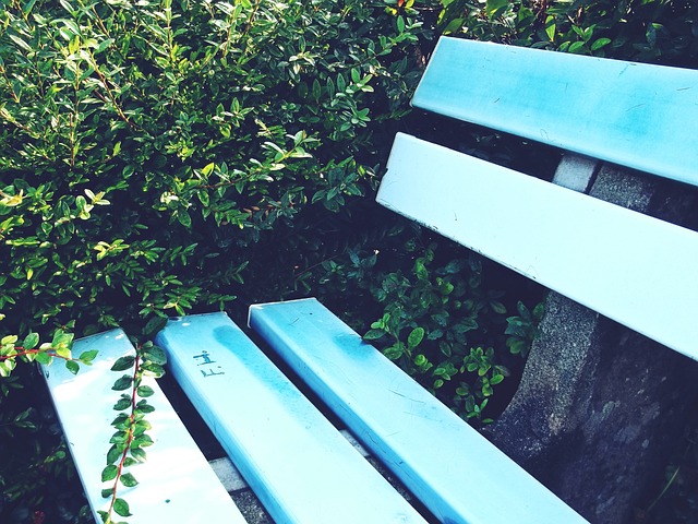 世界杯决赛 世界杯决赛