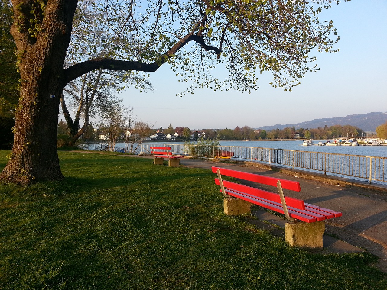 激发学生运 激发学生运